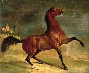 Hevonen maisemassa