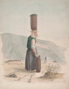 Hiilen myyjä, Teneriffa