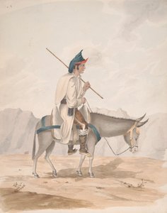 Grand Canary-Man pe un Donkeyfinnish tekijältä Alfred Diston