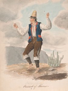 Hierron talonpoika tekijältä Alfred Diston