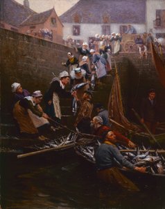 Débarquement du thon à Concarneau