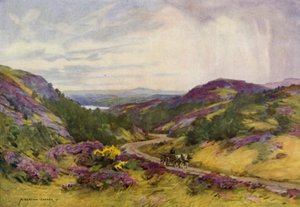 Tanska: Raebild Hills, lähellä Aalborgia (väri litho) tekijältä Alfred Heaton Cooper