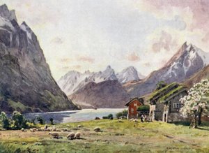 Hjorund Fjord, hanhi tekijältä Alfred Heaton Cooper