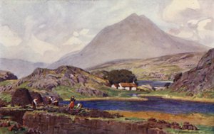 Turf Pickers, Connemara tekijältä Alfred Heaton Cooper