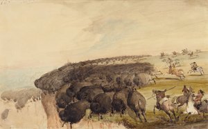 Driving Herds of Buffalo over a Precipice, n. 1837 (lyijykynä, kynä ja muste ja akvarelli paperille) tekijältä Alfred Jacob Miller