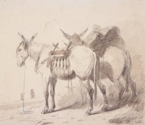 Mule Equipment, n. 1837 (kynä ja pesu paperille) tekijältä Alfred Jacob Miller