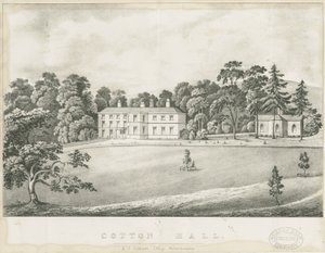 Puuvilla - Hall: litografia ja [1800-luku] tekijältä Alfred Jolly Caldicott