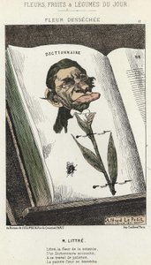 Déséchée-kukka: sarjakuva Littréstä - ill. 1.2.1871 alkaen "Päivän kukat, hedelmät ja vihannekset" tekijältä Alfred Le Petit