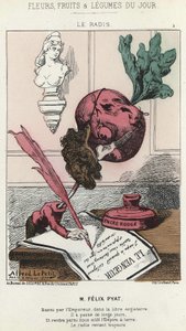 Le Radis: Sarjakuva Félix Pyatista (1810 - 1889) - ill. 02/02/187 artikkelissa "Päivän kukat, hedelmät ja vihannekset" tekijältä Alfred Le Petit