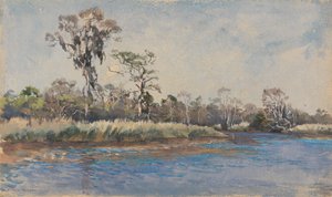 A Creek at Wilmington, N.C.