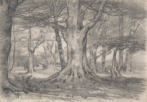 Metsämaisema lähellä Boldrewoodia tekijältä Alfred Parsons