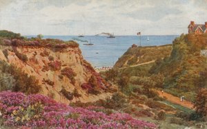 Alum Chine, Bournemouth tekijältä Alfred Robert Quinton