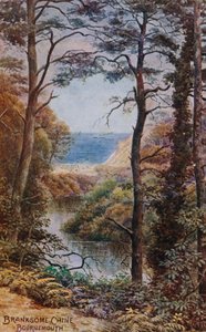 Branksome Chine, Bournemouth tekijältä Alfred Robert Quinton