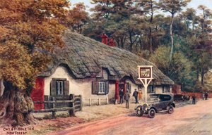 Cat and Fiddle Inn, New Forest tekijältä Alfred Robert Quinton