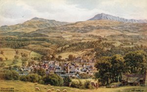 Dolgelley ja Cader Idris tekijältä Alfred Robert Quinton