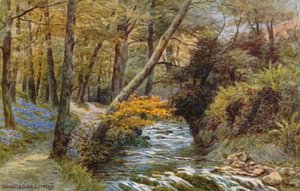 Groudle Glen, I of Man tekijältä Alfred Robert Quinton