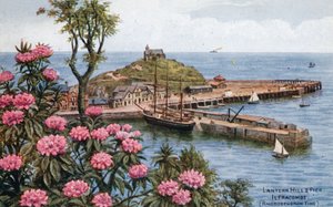Lantern Hill ja Pier, Ilfracombe, (Rhododendronin aika) tekijältä Alfred Robert Quinton