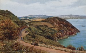 Marine Drive ja Bishops Walk, Torquay tekijältä Alfred Robert Quinton