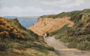 Portman Ravine, Southbourne tekijältä Alfred Robert Quinton