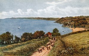 Start Bay ja Blackpool Sands, Stoke Fleming, S Devon tekijältä Alfred Robert Quinton