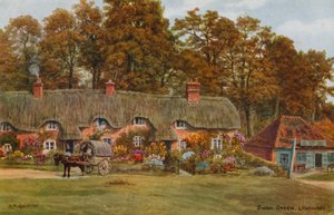 Swan Green, Lyndhurst tekijältä Alfred Robert Quinton