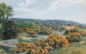 Yhteinen, Tunbridge Wells tekijältä Alfred Robert Quinton