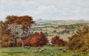 The Downs Chanctonbury Ringin kanssa, Nr Worthing tekijältä Alfred Robert Quinton