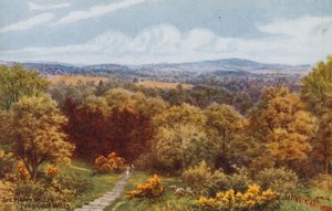 Happy Valley, Tunbridge Wells