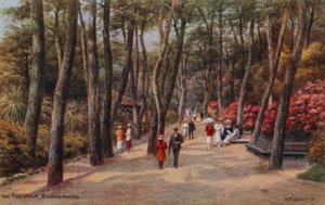 Pine Walk, Bournemouth tekijältä Alfred Robert Quinton