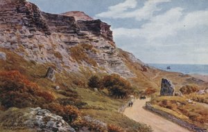 Undercliff, Niton, I Wightista tekijältä Alfred Robert Quinton