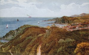 Näkymä Torsilta, Ilfracombe tekijältä Alfred Robert Quinton