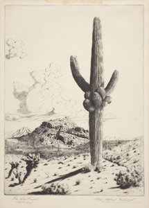 Sentinel (Sahuaro) (etsaus ja akvatinta) tekijältä Alfred Rudolph Waud