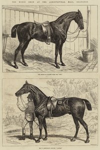 Horse Show Agricultural Hallissa, Islingtonissa
