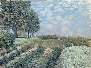 Market Gardens tekijältä Alfred Sisley