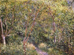 Tuntematon kuva tekijältä Alfred Sisley
