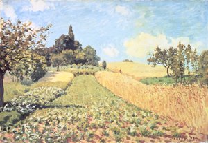 Vehnäpelto (öljy kankaalle) tekijältä Alfred Sisley