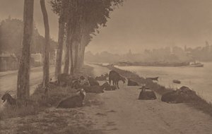  tekijältä Alfred Stieglitz