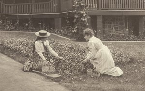 Kukkapenkki Oaklawnissa tekijältä Alfred Stieglitz