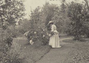 Oaklawnissa tekijältä Alfred Stieglitz