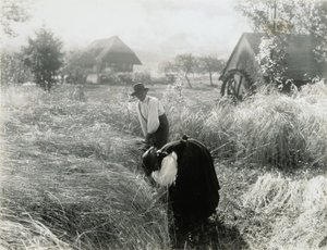 Varhainen aamu tekijältä Alfred Stieglitz