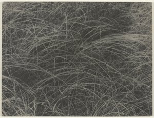 Vastaava tekijältä Alfred Stieglitz