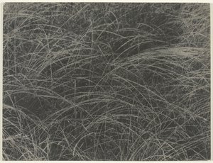 Vastaava, 1927. tekijältä Alfred Stieglitz
