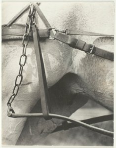 Equivalent, Amèrica espiritual, 1923. finlandès tekijältä Alfred Stieglitz