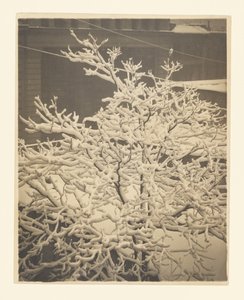 Talon 291 takana olevasta ikkunasta tekijältä Alfred Stieglitz
