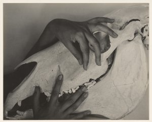  tekijältä Alfred Stieglitz