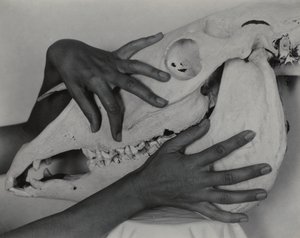  tekijältä Alfred Stieglitz