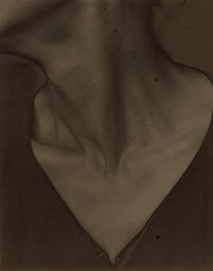 Georgia O’Keeffe – Kaula tekijältä Alfred Stieglitz