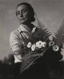 Georgia O’Keeffe tekijältä Alfred Stieglitz