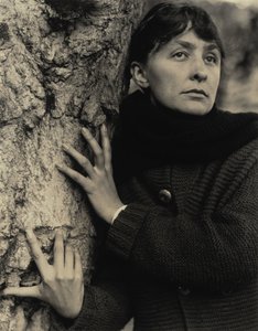  tekijältä Alfred Stieglitz