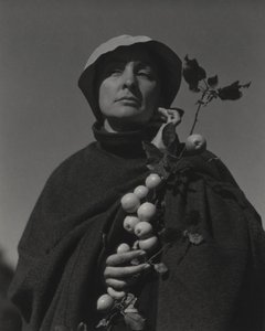  tekijältä Alfred Stieglitz